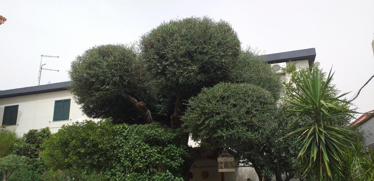 카포텔라 Il Vecchio Ginepro B&B 외부 사진