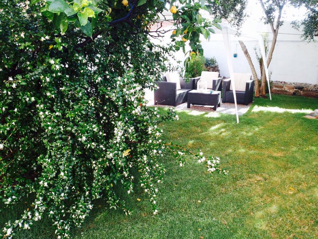 카포텔라 Il Vecchio Ginepro B&B 외부 사진